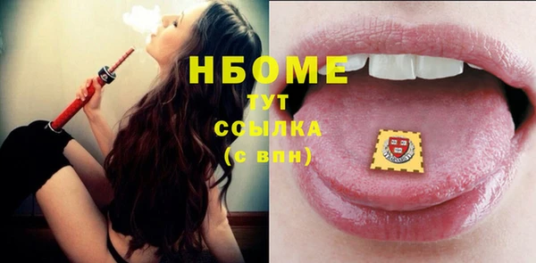 спиды Бородино