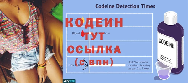 спиды Бородино