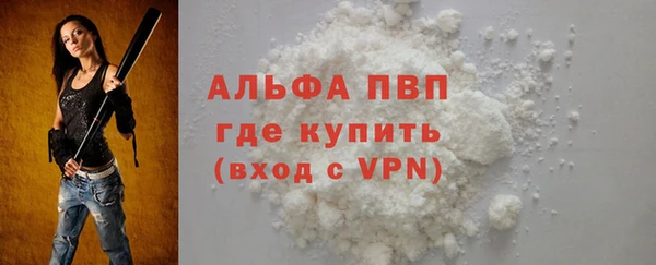 спиды Бородино