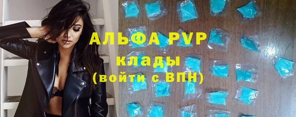спиды Бородино