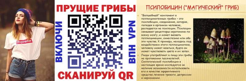 сколько стоит  Новоржев  Галлюциногенные грибы Psilocybe 